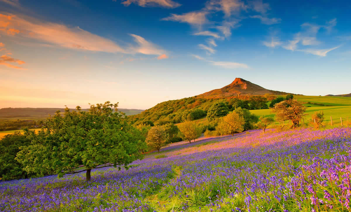 Roseberry Topping Image 1