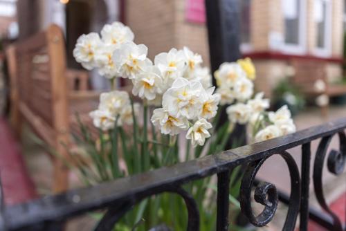 Happy Days Guesthouse Image 1