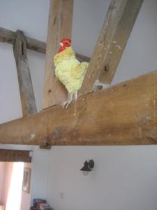 The Old Dairy, Heritage Escapes, Field House Farm Image 1