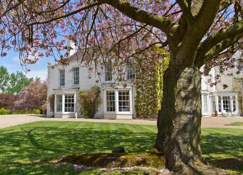 Tickton Grange Hotel Image 1