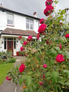 Beechlands B & B Image 1