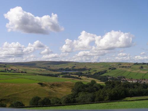 Coddy's Farm Image 4