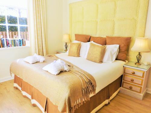 County House City Centre with parking Sleeps 4 Image 4
