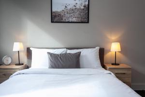 Primero Apartments-The Fitzgerald Apartments Image 3
