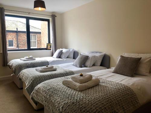 Vikings Two Bedroom Apartment With Free Parking. Image 3