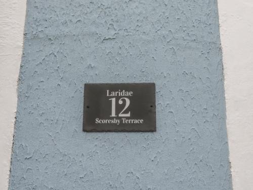 Laridae Image 5