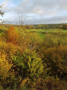 The Sett on The Wharfe Image 1