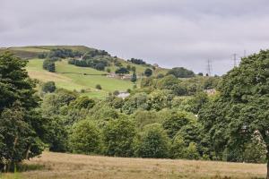 The Cowshed Image 1