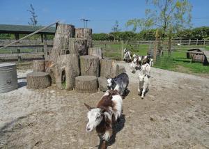 Barmston Farm Image 2