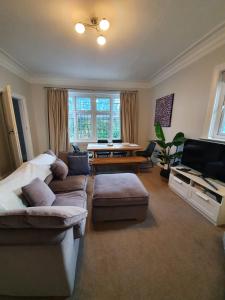 Spacious and Luminous Roundhay Gem Image 3