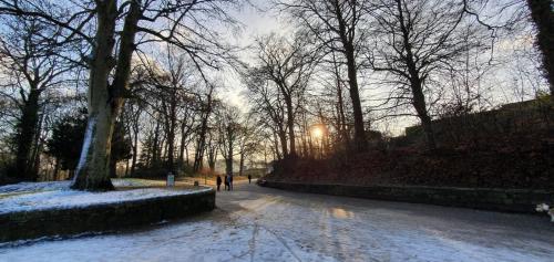 Spacious and Luminous Roundhay Gem Image 2