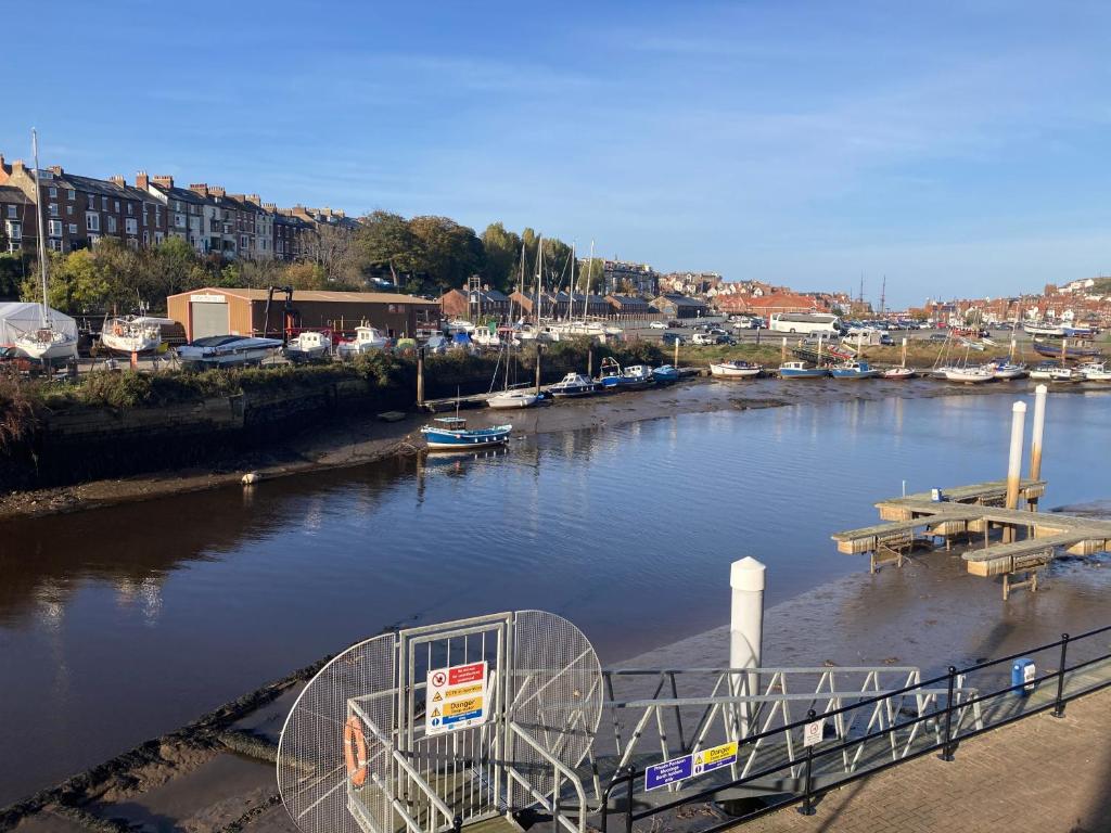 Swanning Off.Whitehall Landing, Whitby Image 3
