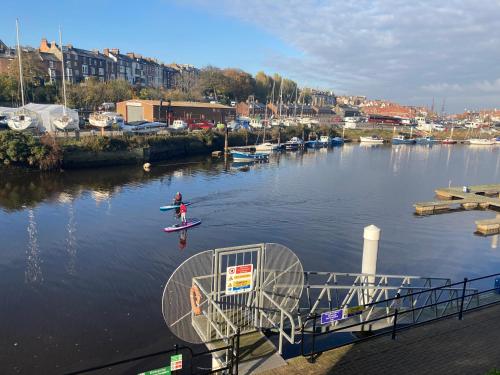 Swanning Off.Whitehall Landing, Whitby Image 2