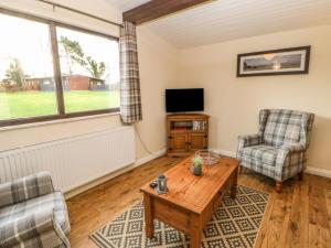 Snowdrop, Saltburn-by-the-Sea Image 2