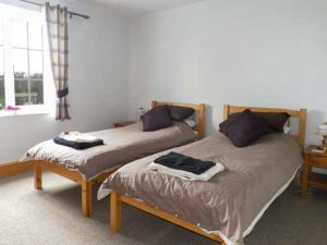 Lillieput Lodge Image 3