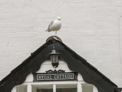 Rydal Cottage Image 3