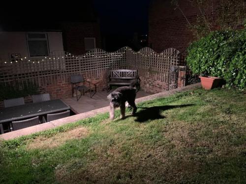 Award winning pet friendly paddock cottage Image 3