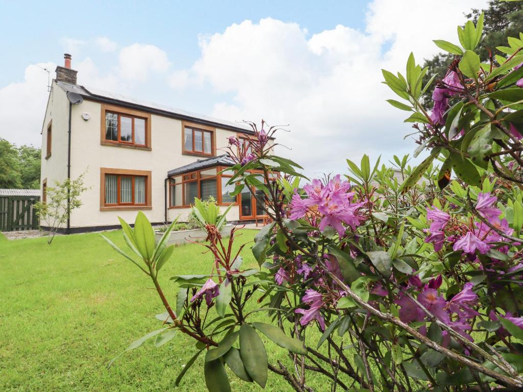 Bowland Fell Cottage Image 3