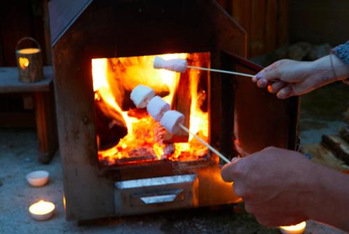 Pinewood Park - Tipis, Hot Tubs and Lodges Image 3
