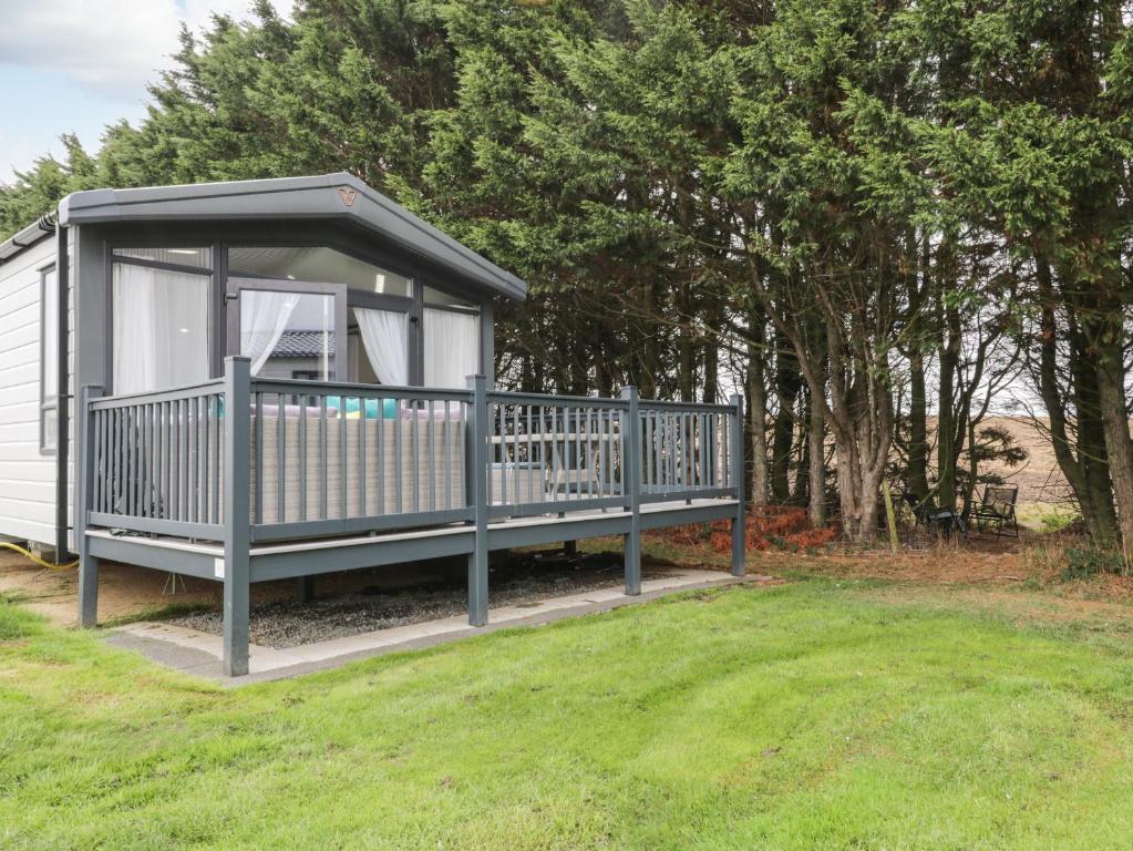 15 Finch Image 1