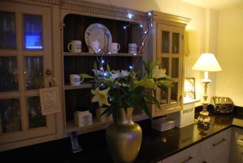 Springdale Guest House Image 3