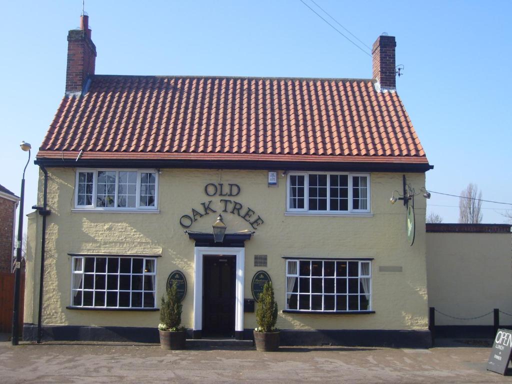 Old Oak Tree Image 1