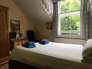 Burton Villa Guest House Image 2