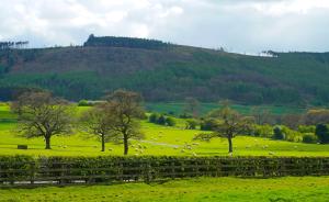 Gisborough Hall Hotel Image 3