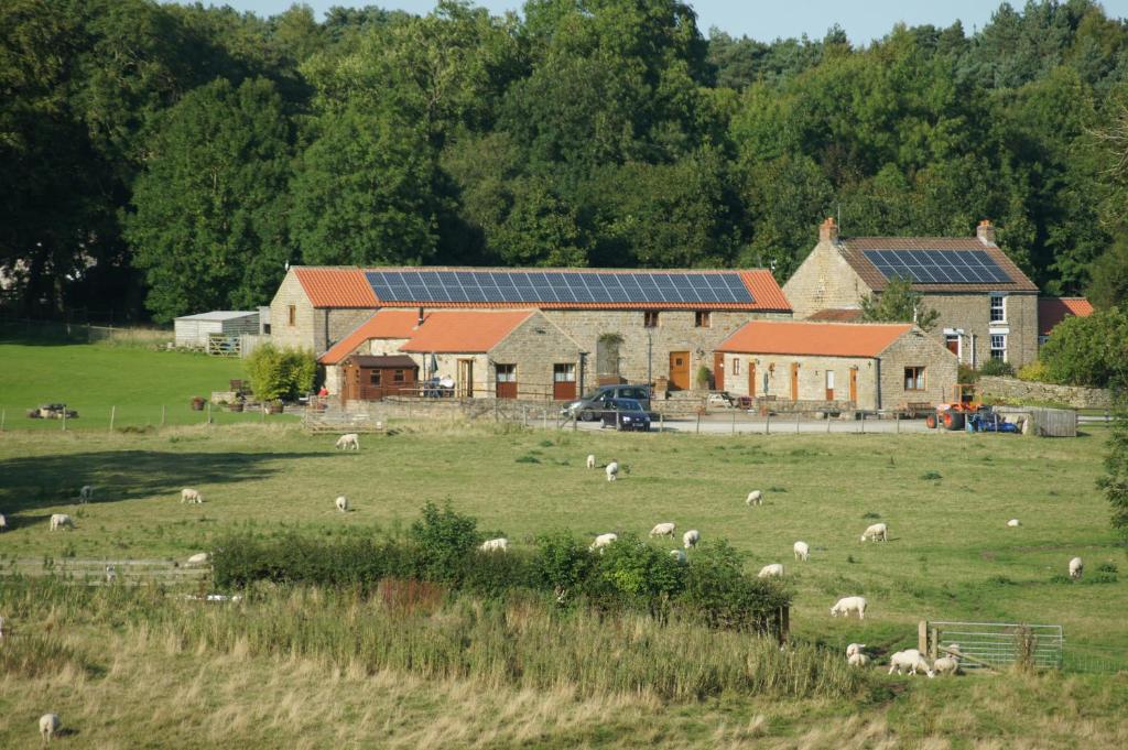 Rawcliffe House Farm Image 1