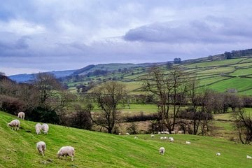 Full-Day Yorkshire Dales Tour from York Image 1