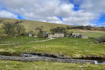 Private "All Creatures Great and Small" Yorkshire Dales Tour from Leeds Image 1