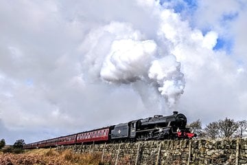 Steam Trains, Whitby, and the North York Moors Full-Day Tour from York Image 1