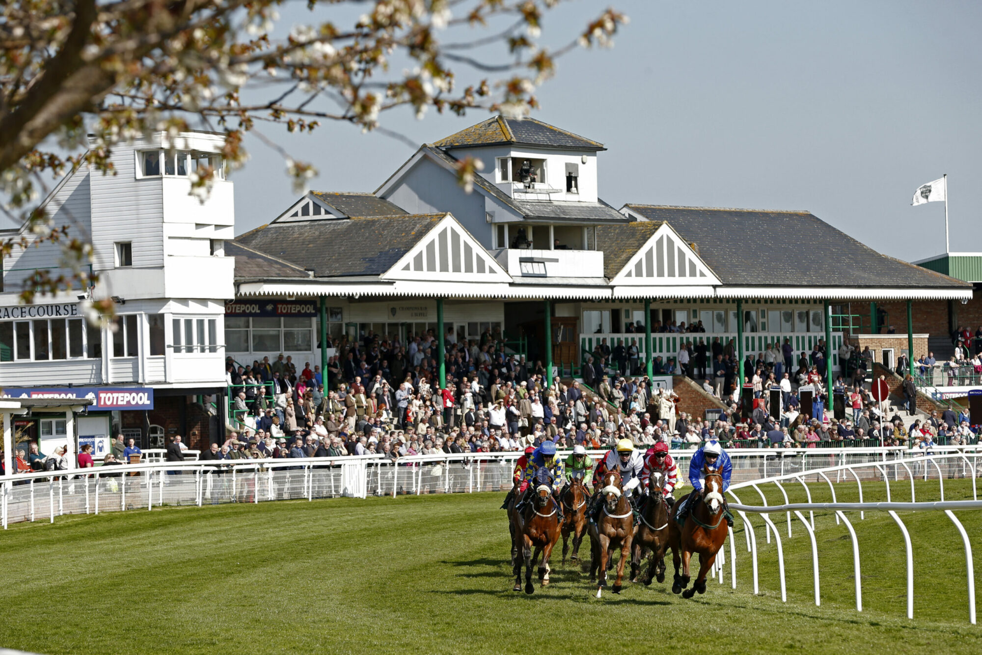Catterick Racecourse Image 4