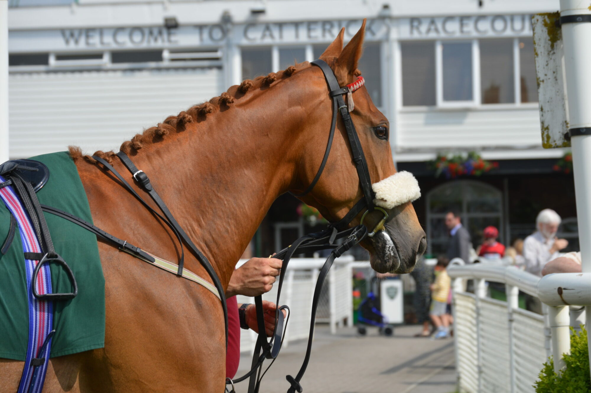 Catterick Racecourse Image 2