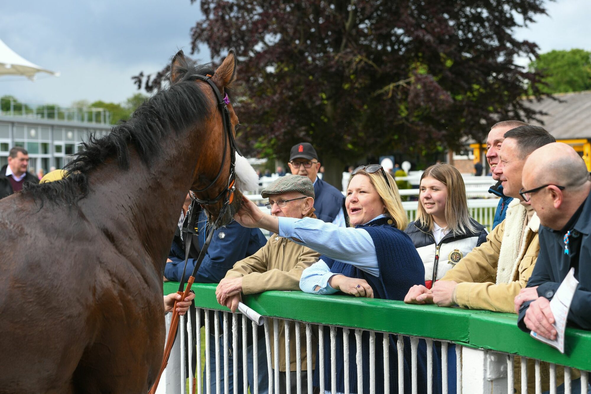 Thirsk Racecourse Image 3