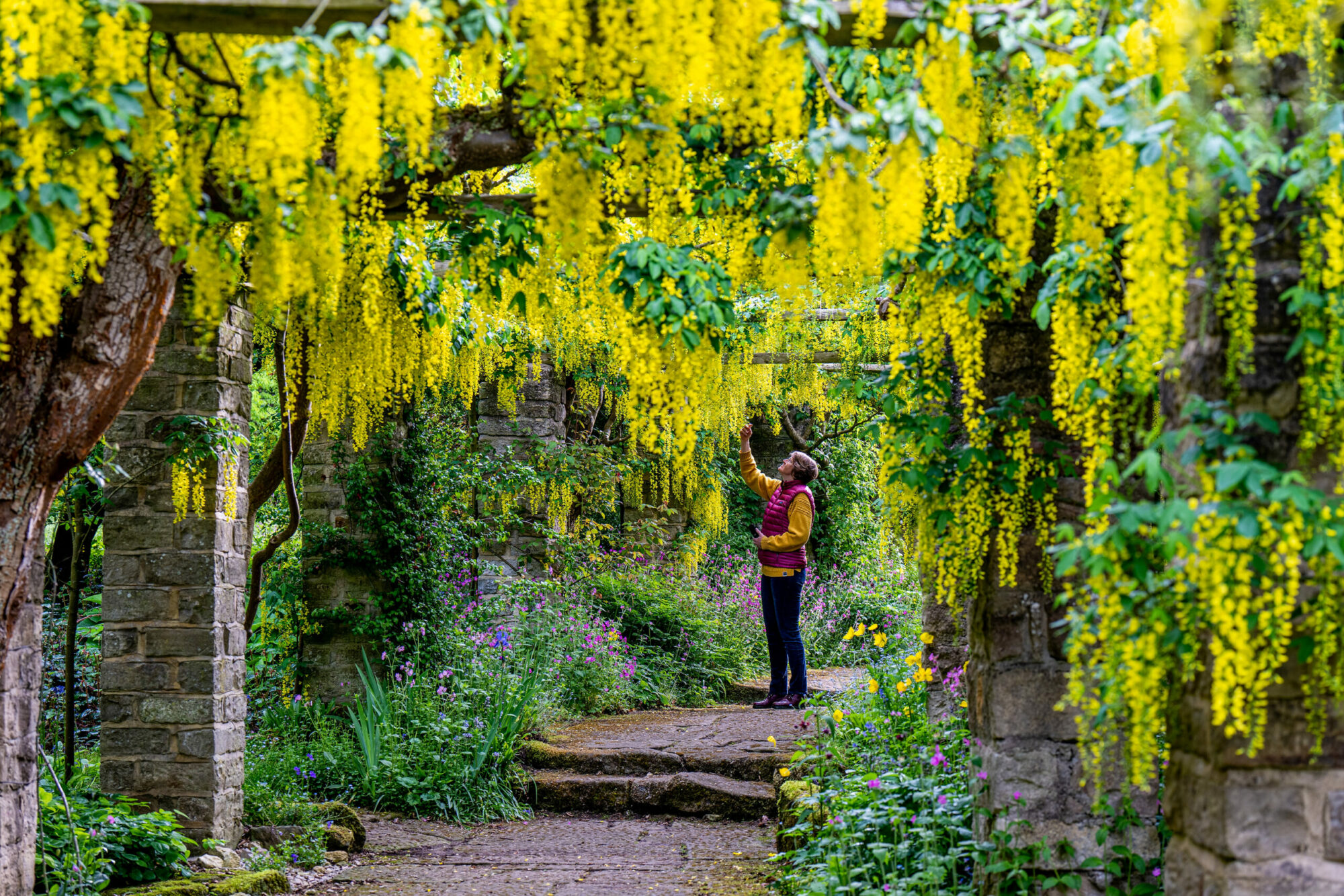 Newby Hall &amp; Gardens Image 11
