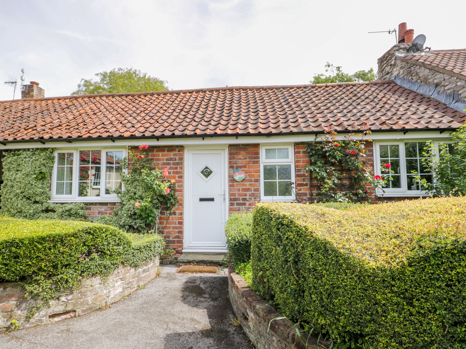 Lupin Cottage Image 5