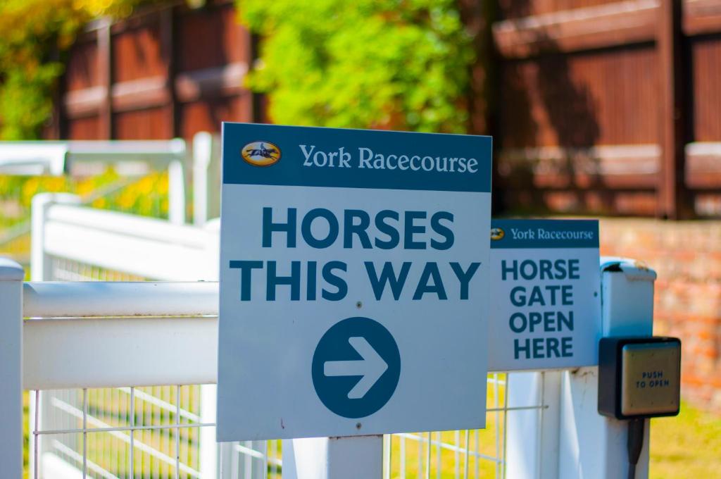 Stableside at York Racecourse Image 4