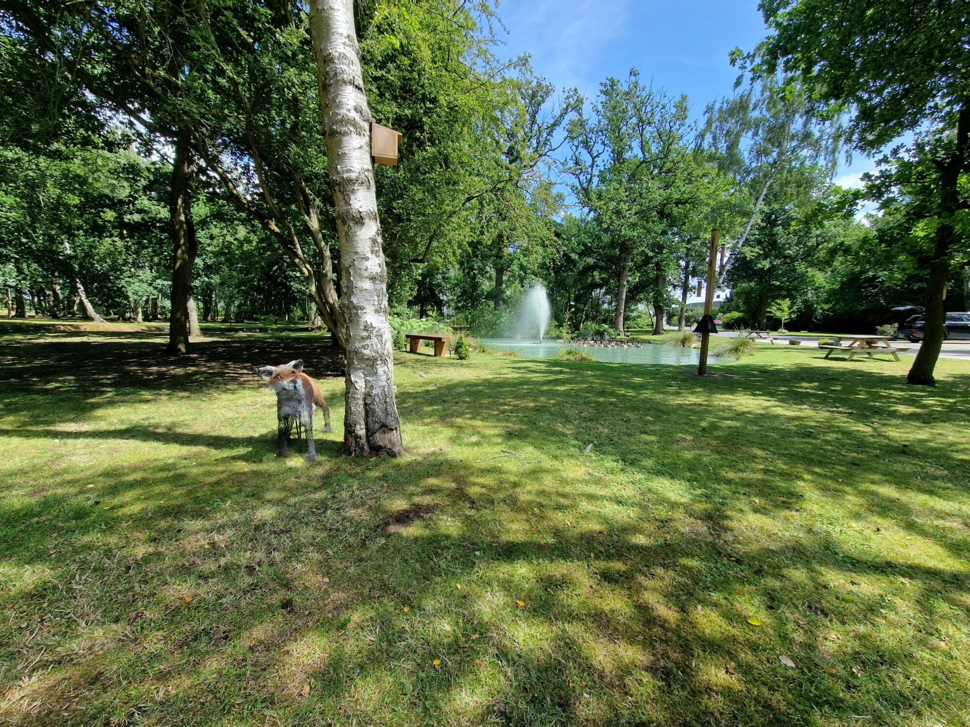 The Lodge Image 8