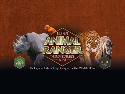 Visit Yorkshire Wildlife Park In Doncaster Image 3