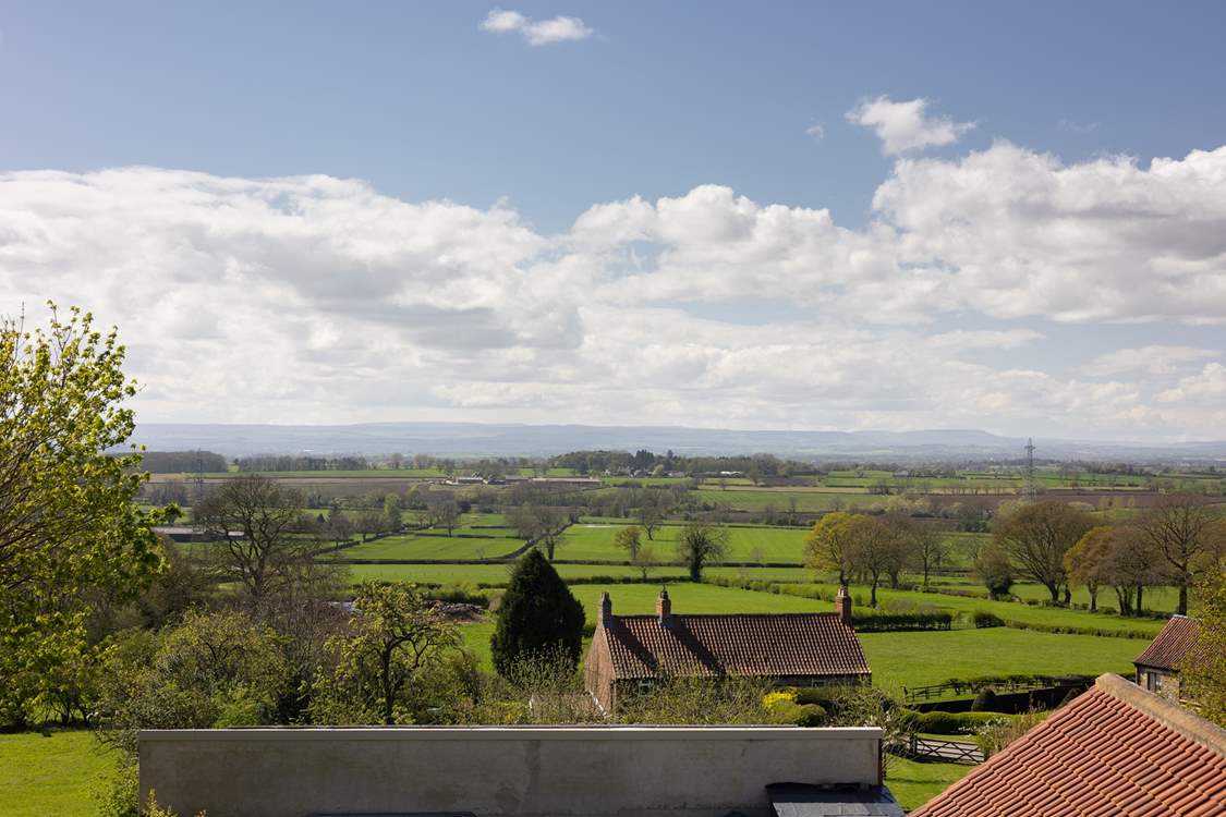 Ivy House Image 7