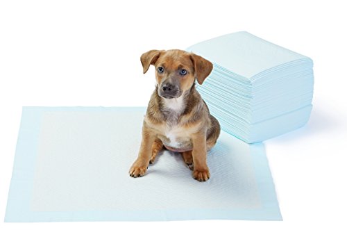 Blue leakproof dog training pads with a quick-dry surface, featuring a 5-layer design, stacked in a pack of 50, alongside a small brown puppy sitting on one pad.