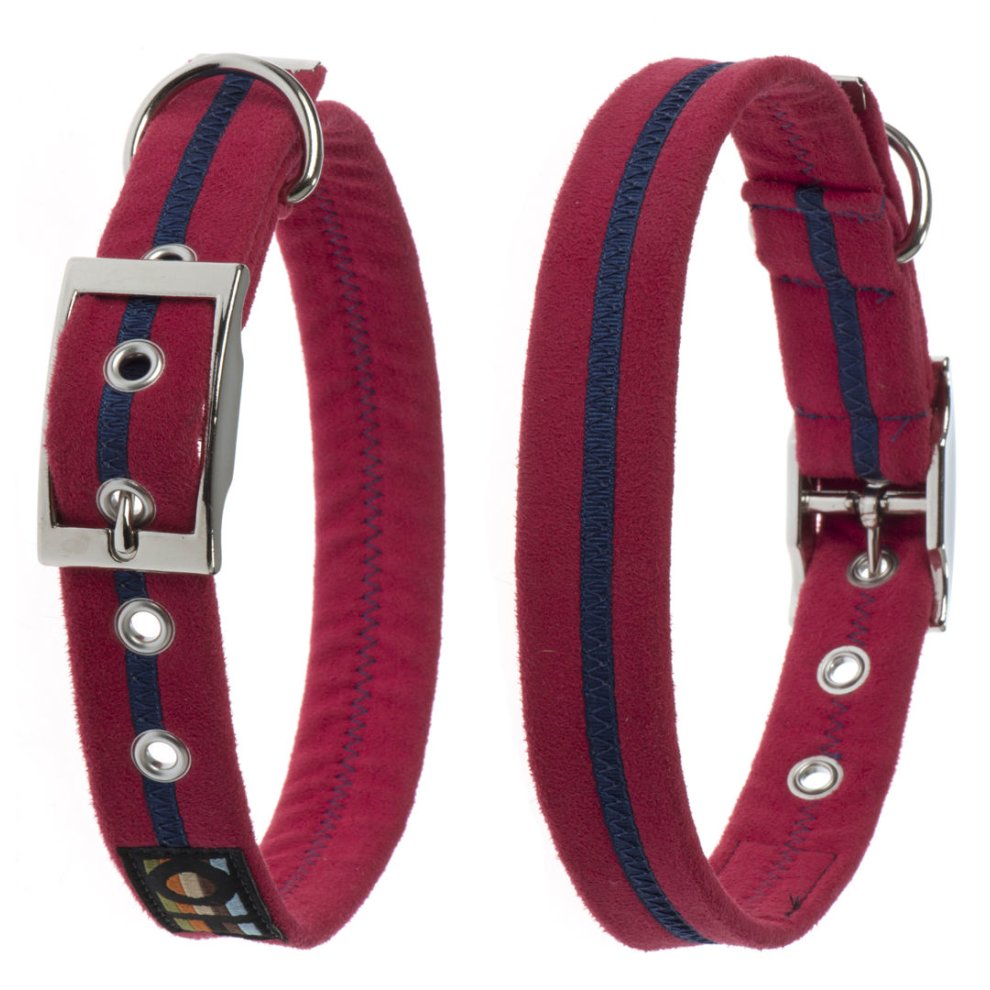 Bold red collar made of soft fabric with a contrasting navy blue stripe, featuring a metal buckle and adjustable holes for sizing.