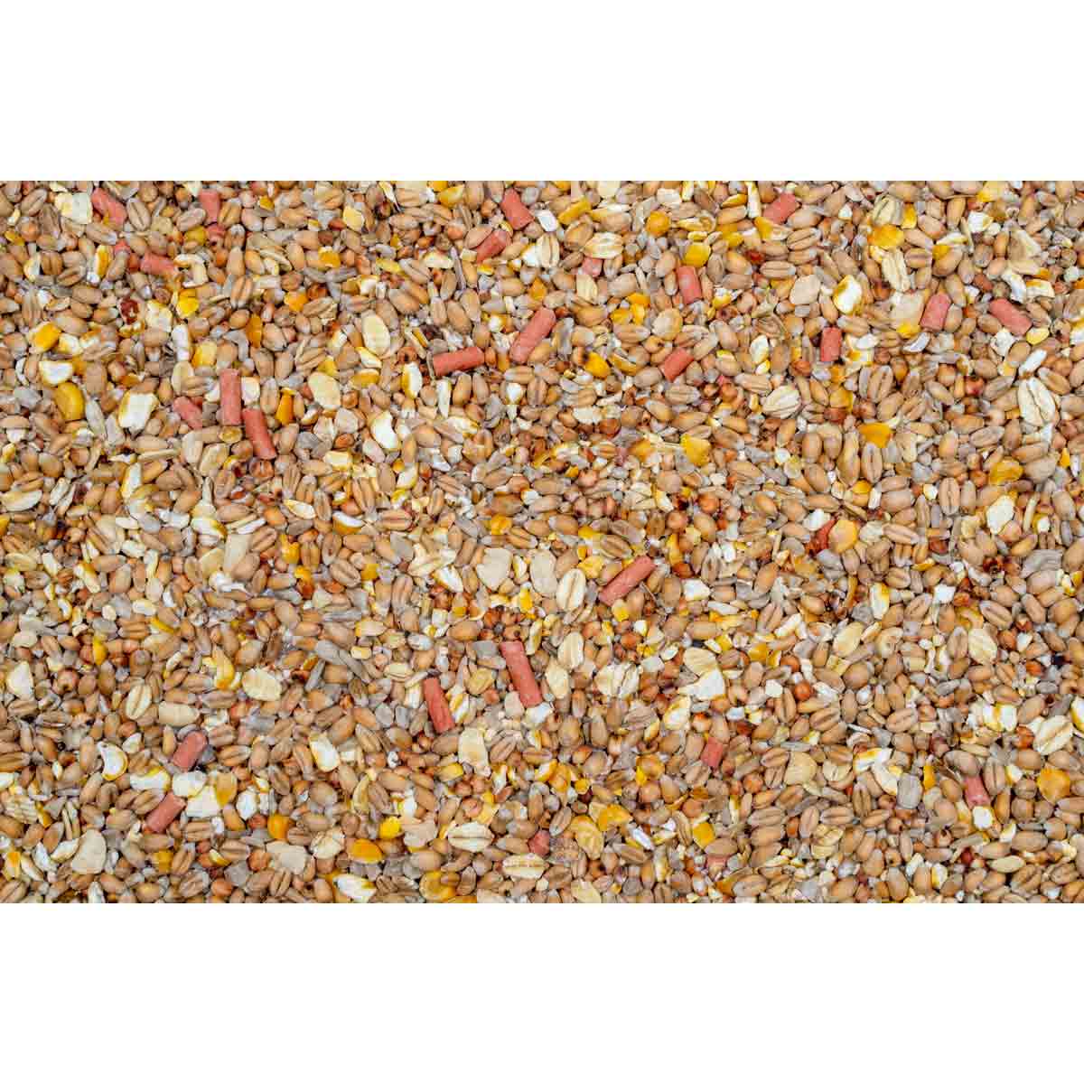 A close-up view of a blend of wild bird food featuring a mix of seeds, grains, and small pellets in various shades of brown, yellow, and orange.