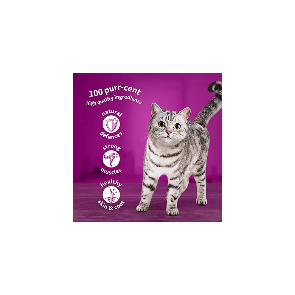 whiskas 1 plus Adult Mixed Selection in Jelly 84 Pouches, Adult Wet Cat Food, Megapack (84 x 85 g) - image 2