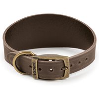 Brown Ancol Greyhound collar with brass buckle and D-ring, size 19" S4-5, made of durable leather.
