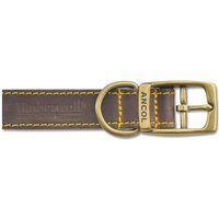 Brown Ancol Timberwolf dog collar with yellow stitching, brass buckle, and embossed logo.