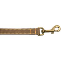 Brown Ancol Timberwolf leather lead with brass clip and orange stitching.