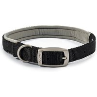 Black Ancol Viva Pad Buc dog collar, adjustable 35-43cm, with silver buckle and D-ring.