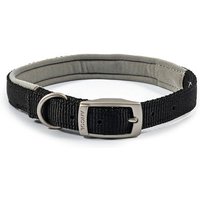 Black Ancol Viva Pad Buc dog collar, 39-48cm, with padded lining, metal buckle, and D-ring.